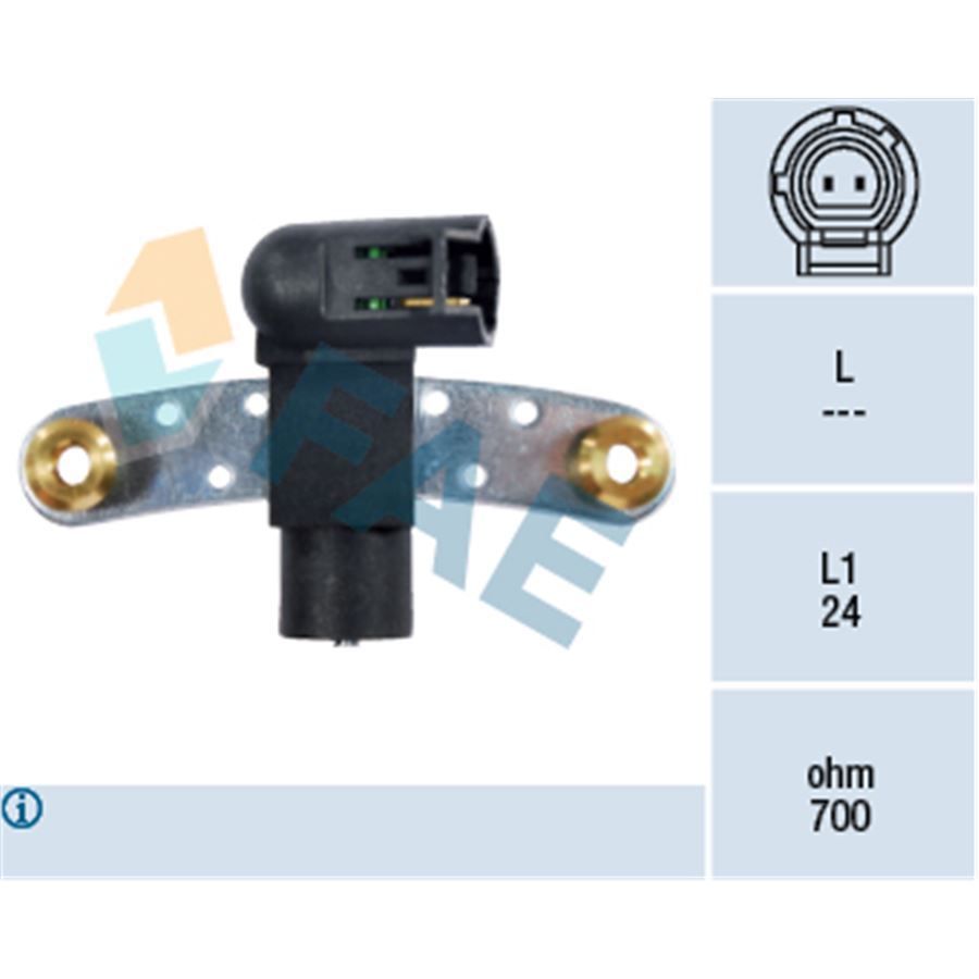 79163