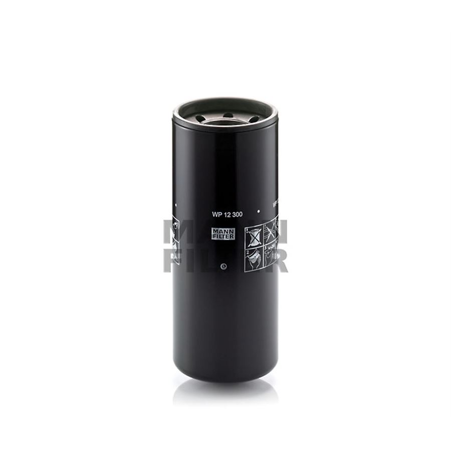 WP12300_01