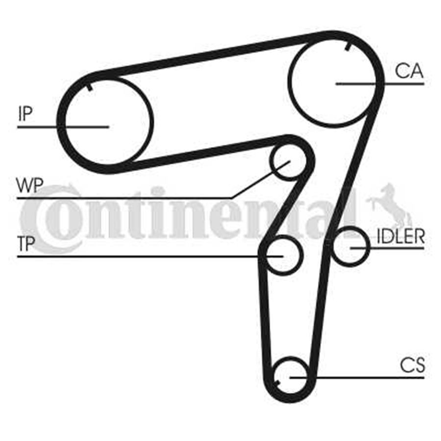 CT918WP1