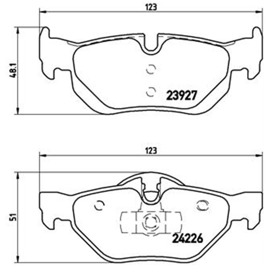 P06038