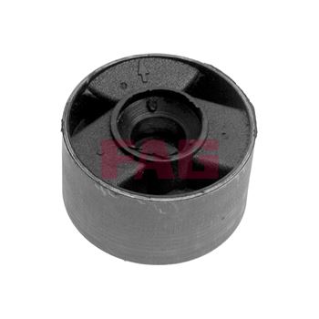 apoyo sujecion - Suspensión, Brazo oscilante FAG 829 0001 10
