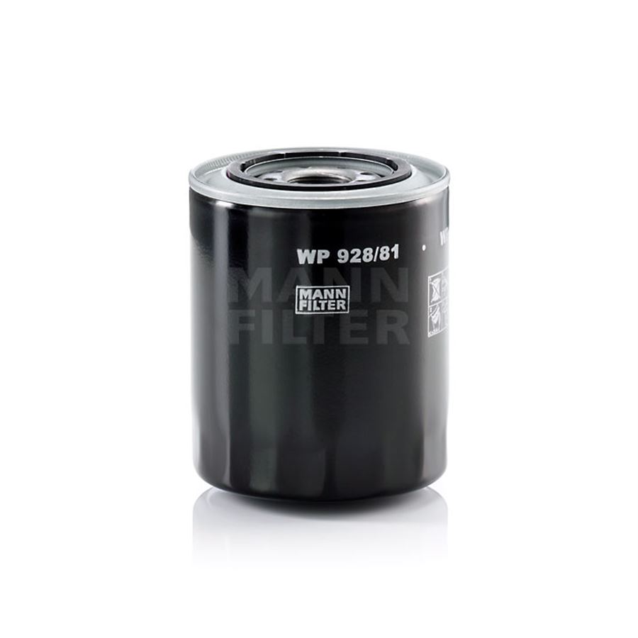 WP92881_01