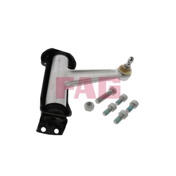 brazo oscilante - Barra oscilante, suspensión de ruedas FAG 821 0202 10