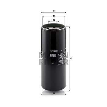 WP12300_02