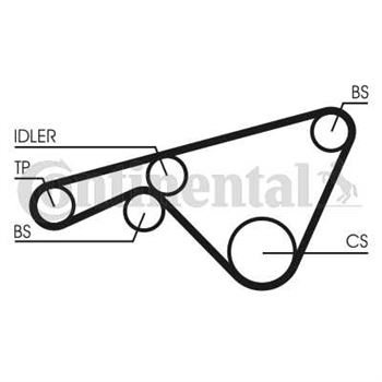 correa dentada arbol de levas - Correa dentada CONTITECH CT925