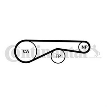 correa dentada arbol de levas - Correa dentada CONTITECH CT1095