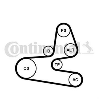 juego de correas poli v - Juego de correa auxiliar CONTITECH 6PK1564K1