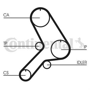 correa dentada arbol de levas - Correa dentada CONTITECH CT613