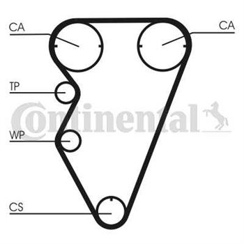 correa dentada arbol de levas - Correa dentada CONTITECH CT929