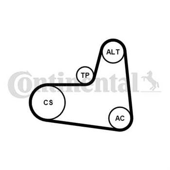 kit de distribucion - Juego de correas trapeciales Poli V CONTITECH 6PK1005K1