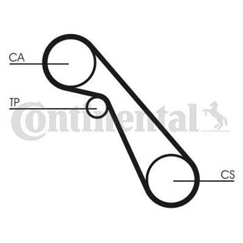 correa dentada arbol de levas - Correa dentada CONTITECH CT703