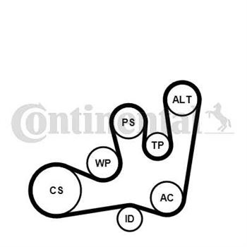 juego de correas poli v - Juego de correa auxiliar CONTITECH 6PK1642K1