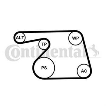 kit de distribucion - Bomba de agua + kit de correa Poli V CONTITECH 6PK1318WP1