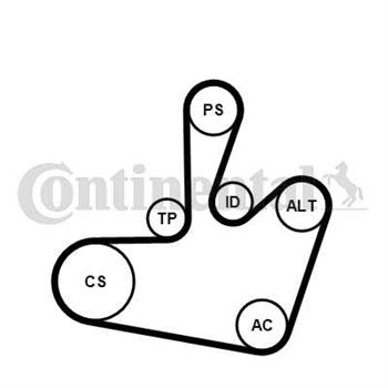 juego de correas poli v - Juego de correa auxiliar CONTITECH 6PK1548K1