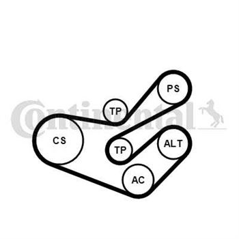 juego de correas poli v - Juego de correa auxiliar CONTITECH 6PK1750K3