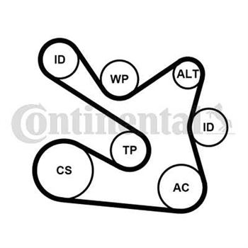 kit de distribucion - Juego de correas trapeciales Poli V CONTITECH 7PK1605K1