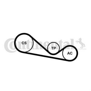 kit de distribucion - Juego de correas trapeciales Poli V CONTITECH 4PK1237K1
