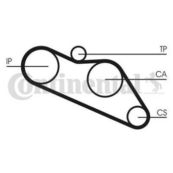 correa dentada arbol de levas - Correa dentada CONTITECH CT612