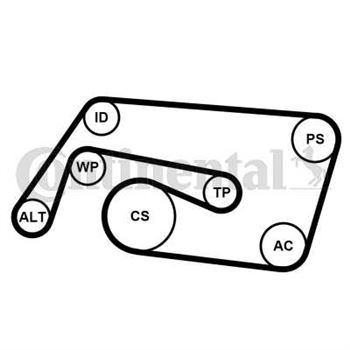 juego de correas poli v - Juego de correa auxiliar CONTITECH 6PK2260K2