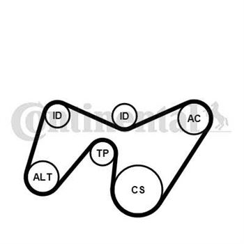 juego de correas poli v - Juego de correa auxiliar CONTITECH 6PK1642K2