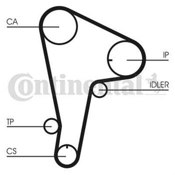 correa dentada arbol de levas - Correa dentada CONTITECH CT721