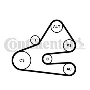 juego de correas poli v - Juego de correa auxiliar CONTITECH 6PK1613K1