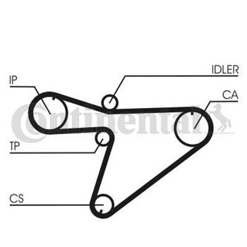 correa dentada arbol de levas - Correa dentada CONTITECH CT810