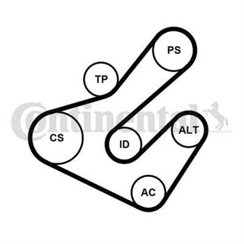 kit de distribucion - Juego de correas trapeciales Poli V CONTITECH 7PK1795K2