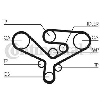 correa dentada arbol de levas - Correa dentada CONTITECH CT1135