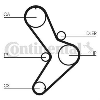 correa dentada arbol de levas - Correa dentada CONTITECH CT731