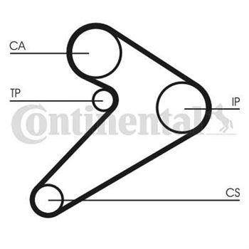 correa dentada arbol de levas - Correa dentada CONTITECH CT517