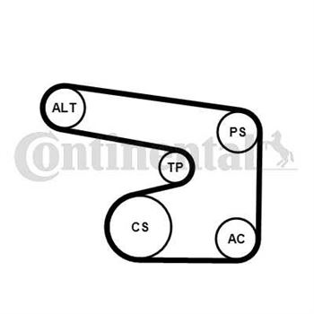 juego de correas poli v - Juego de correa auxiliar CONTITECH 6PK1900K1