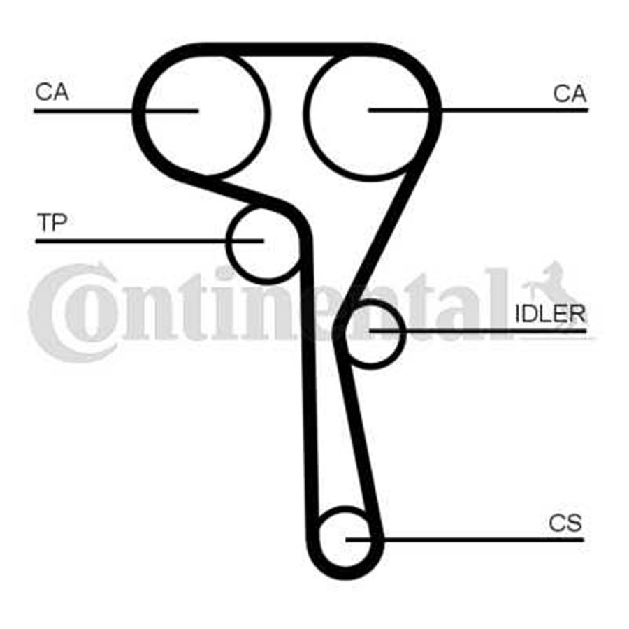 CT1167WP2PRO