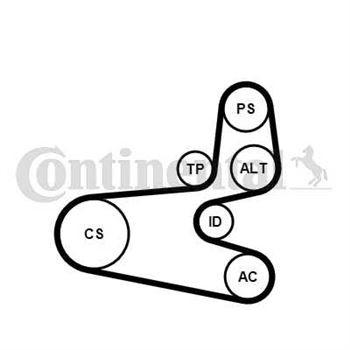 juego de correas poli v - Juego de correa auxiliar CONTITECH 6PK1560K1