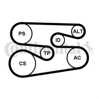 kit de distribucion - Juego de correas trapeciales Poli V CONTITECH 6PK1698K1