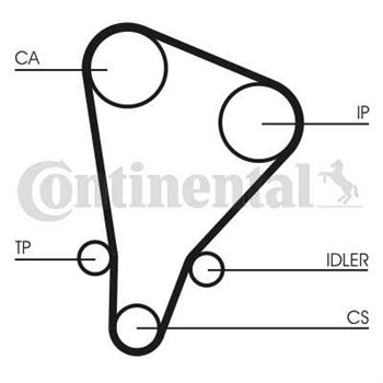 correa dentada arbol de levas - Correa dentada CONTITECH CT521