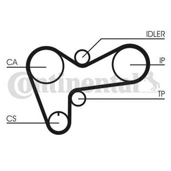 correa dentada arbol de levas - Correa dentada CONTITECH CT508