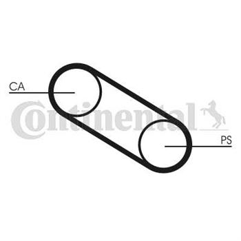 correa dentada arbol de levas - Correa dentada CONTITECH CT667