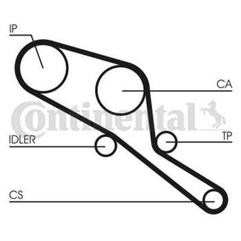 correa dentada arbol de levas - Correa dentada CONTITECH CT550