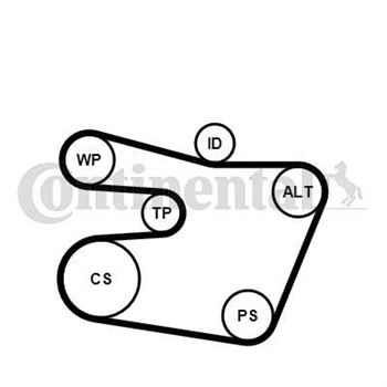 juego de correas poli v - Juego de correa auxiliar CONTITECH 6PK1538K1