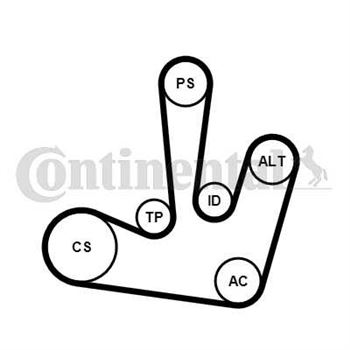 juego de correas poli v - Juego de correa auxiliar CONTITECH 6PK1795K1