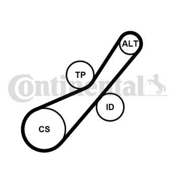 kit de distribucion - Juego de correas trapeciales Poli V CONTITECH 6PK800K2
