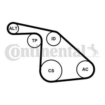 kit de distribucion - Juego de correas trapeciales Poli V CONTITECH 6PK1038K1