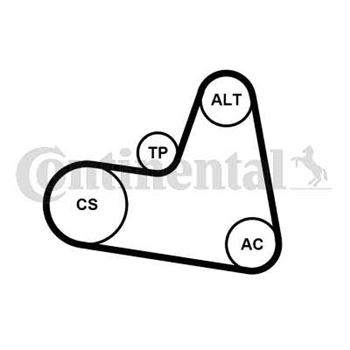 kit de distribucion - Juego de correas trapeciales Poli V CONTITECH 6PK962K1