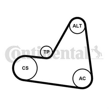 kit de distribucion - Juego de correas trapeciales Poli V CONTITECH 6PK1680K1
