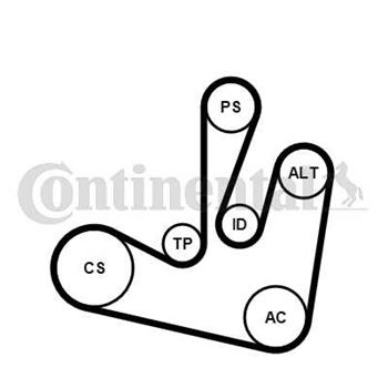 juego de correas poli v - Juego de correa auxiliar CONTITECH 6PK1750K2