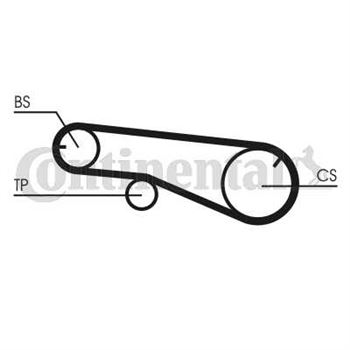 correa dentada arbol de levas - Correa dentada CONTITECH CT991