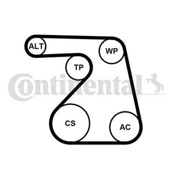 kit de distribucion - Juego de correas trapeciales Poli V CONTITECH 6PK1217K2