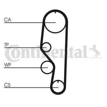 correa dentada arbol de levas - Correa dentada CONTITECH CT557