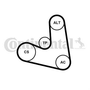 kit de distribucion - Juego de correas trapeciales Poli V CONTITECH 4PK654K1